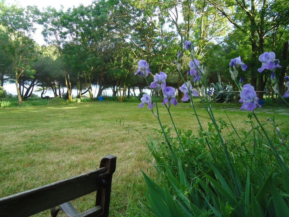 Au Bord De Thau Bed & Breakfast มาร์เซย็อง ภายนอก รูปภาพ