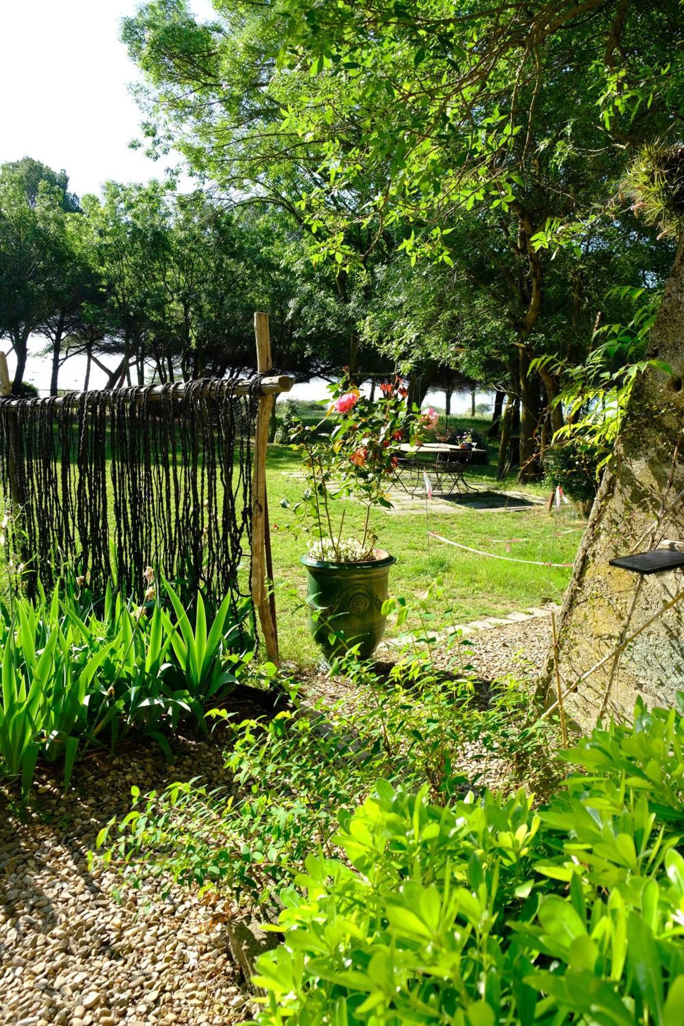 Au Bord De Thau Bed & Breakfast มาร์เซย็อง ภายนอก รูปภาพ